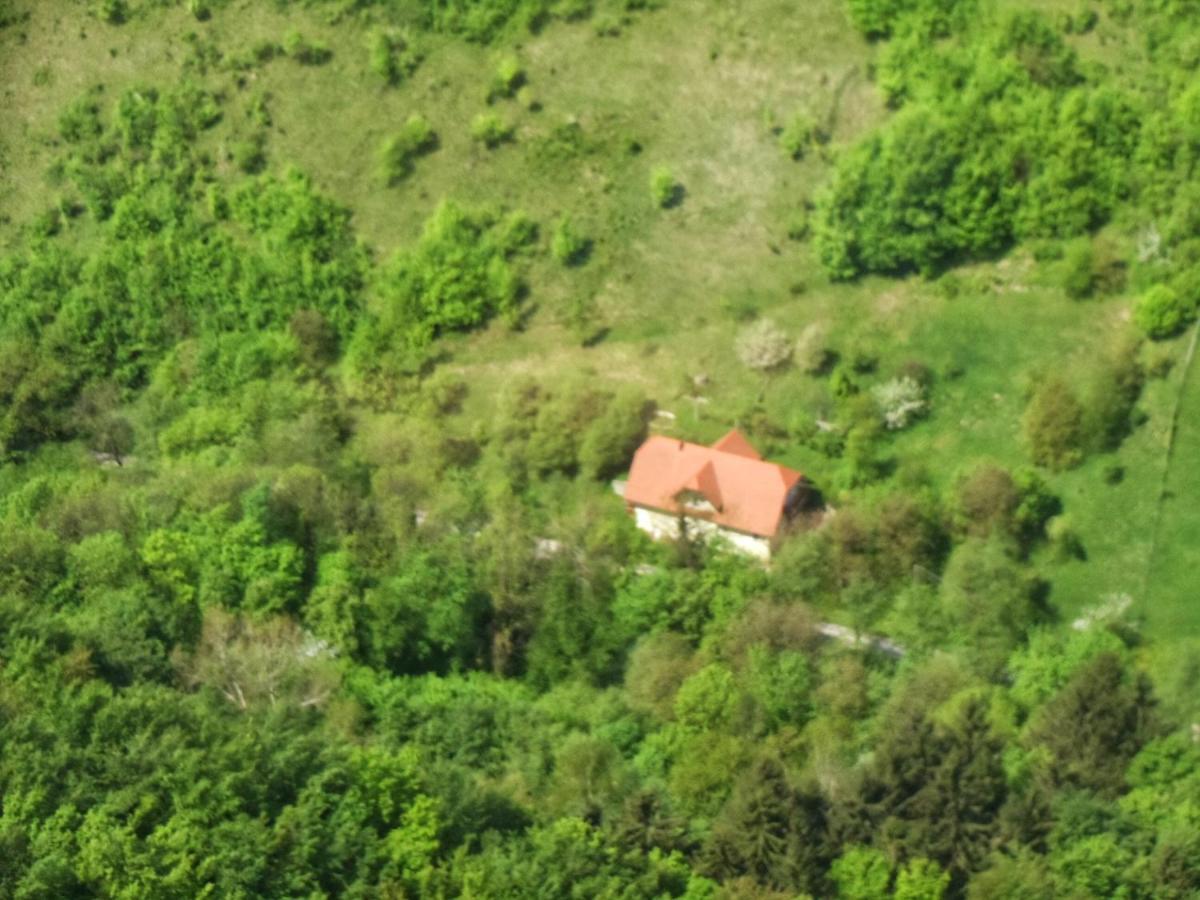 Nicehead Spacious Nest Between Maribor And Celje Loče pri Poljčanah Εξωτερικό φωτογραφία